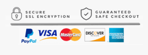 ssl secure checkout